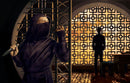 Dune: Fall Of The Imperium Dune - Adventures in the Imperium Modiphius Entertainment