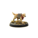 Fallout: Miniatures - Wasteland Survivors Core Set (Plastic) Fallout: Miniatures Modiphius Entertainment