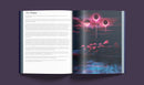 Legends of Avallen - Against the Faerie Queene Art Book Legends of Avallen Adder Stone Games