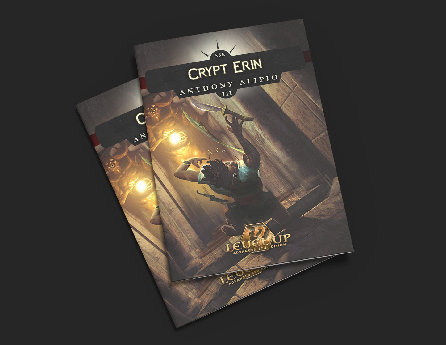 Level Up: Advanced 5th Edition - Starter Box Level Up: A5E EN Publishing