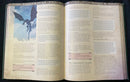Raiders of the Serpent Sea: Collector's Campaign Guide (5E) Raiders of the Serpent Sea Modiphius Entertainment