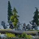 The Elder Scrolls: Call to Arms: Companions The Elder Scrolls: Call to Arms Modiphius Entertainment