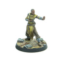 The Elder Scrolls: Call to Arms: Dragonborn Heroes The Elder Scrolls: Call to Arms Modiphius Entertainment