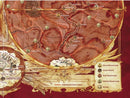 John Carter of Mars: Core Rulebook - Modiphius Entertainment