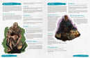 Legends of Avallen - Core Rulebook Legends of Avallen Adder Stone Games