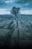 Liminal Casebook (PDF) Liminal Paul Mitchener