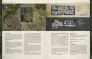 Ruins of Symbaroum 5E - Call of the Dark Symbaroum Free League Publishing