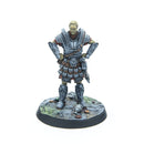 The Elder Scrolls: Call to Arms - Imperial Vanguard The Elder Scrolls: Call to Arms Modiphius Entertainment