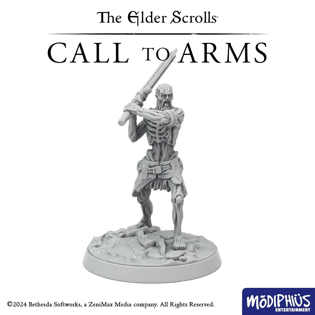 The Elder Scrolls: Call to Arms - Print at Home - Bleak Falls Barrow Delve The Elder Scrolls: Call to Arms Modiphius Entertainment 