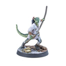 The Elder Scrolls Call to Arms Adventurer Followers