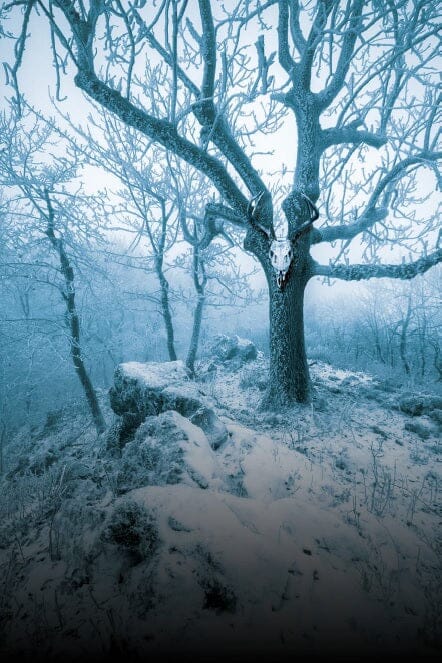 Liminal Casebook (PDF) Liminal Paul Mitchener 