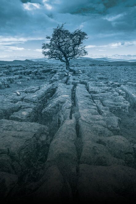 Liminal Casebook (PDF) Liminal Paul Mitchener 